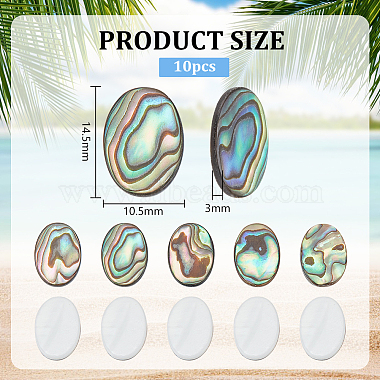 10Pcs Natural Paua Shell Cabochons(FIND-BC0005-54)-2