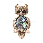 Owl Shape Antique Alloy Rhinestone Lapel Pins, Shell Lapel Pins for Backpack Clothes, Antique Golden, 59x28.5mm(JEWB-B038-04AG)