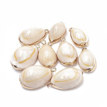 Cowrie Shell Pendants, with Golden Tone Brass Findings, Cowrie Shell, Seashell Color, 23~30x13~19x10~13mm, Hole: 1.5mm