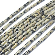 Natural Dalmatian Jasper Beads Strands, Column, 4~5x2~2.5mm, Hole: 0.6~0.8mm, about 90~102pcs/strand, 15.3~15.7 inch(39~40cm)(G-F631-B07)