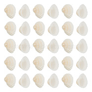 Shell Pendants, 21.5~24.5x27~30.5x8.5~11.5mm, Hole: 1.5~1.6mm, about 80~100pcs/box(SSHEL-TA0001-03)