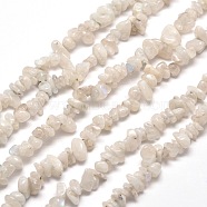 Natural Rainbow Moonstone Chip Bead Strands, 5~8x5~8mm, Hole: 1mm, about 31.5 inch(G-M205-62)