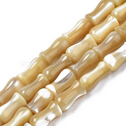 Natural Trochid Shell/Trochus Shell Beads Strands, Bamboo Stick, 8x4mm, Hole: 0.9mm, about 51pcs/strand, 15.75 inch(40cm)(SSHEL-N034-122-A01)