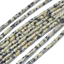 Natural Dalmatian Jasper Beads Strands, Column, 4~5x2~2.5mm, Hole: 0.6~0.8mm, about 88pcs/strand, 15 inch(G-F631-B07)