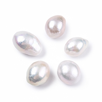 Natural Baroque Keshi Pearl Beads, Freshwater Pearl Beads, No Hole, Rice, Snow, 14.5~19x11~13x11~13mm
