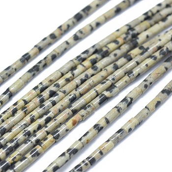 Natural Dalmatian Jasper Beads Strands, Column, 4~5x2~2.5mm, Hole: 0.6~0.8mm, about 90~102pcs/strand, 15.3~15.7 inch(39~40cm)