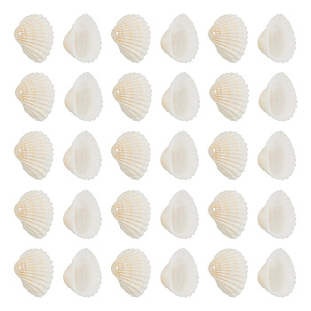 Shell Pendants, 21.5~24.5x27~30.5x8.5~11.5mm, Hole: 1.5~1.6mm, about 80~100pcs/box