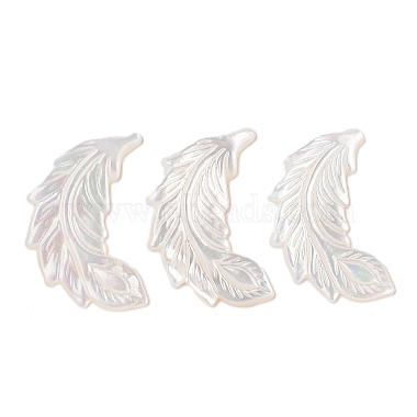 Seashell Color Feather White Shell Cabochons