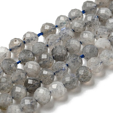 Faceted Round Natural Labradorite Bead Strands(G-I156-03-4mm)-3