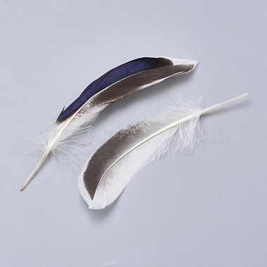 Feather Costume Accessories(X-FIND-Q046-15F)-3