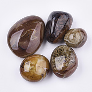 Natural Agate Display Decorations, Tumbled Stone, Healing Stones for Chakras Balancing, Crystal Therapy, Meditation, Reiki, 45~90x38~68x30~45mm(G-S349-02)