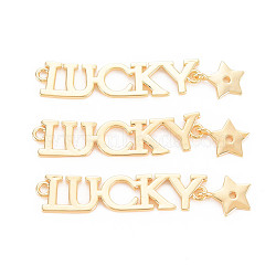Rack Plating Brass Connector Charms, Nickel Free, Lucky with Star, Real 18K Gold Plated, 44mm, Hole: 1.6mm(KK-N233-198)