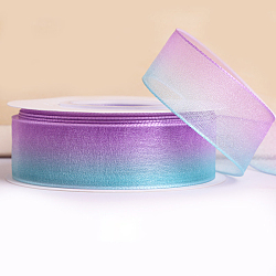 Gradient Rainbow Color Polyester Chiffon Ribbon, for Craft Bows Gift Wrapping Wedding Decoration, Light Steel Blue, 1 inch(25mm), about 24.06 Yards(22m)/Roll(RABO-PW0001-132F)