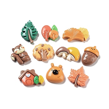 Autumn Theme Opaque Resin Cabochons, Ginkgo Leaf & Mushroom & Squirrel, Mixed Shapes, Mixed Color, 18~32x18.5~31x5.5~9mm