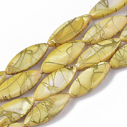 Drawbench Freshwater Shell Beads Strands, Dyed, Horse Eye, Goldenrod, 20~22x7.5~8.5x3.5~4.5mm, Hole: 1mm, about 24pcs/Strand, 15.35 inch~15.55 inch(SHEL-T014-008B-05)