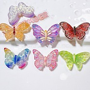 Resin Cabochons, Mixed Color, Butterfly, 19.5~21.5x29~36x7mm(CRES-M002-03)