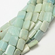 Natural Amazonite Rectangle Beads Strands, 18x13x6mm, Hole: 1mm, about 23pcs/strand, 15.7 inch(G-P091-55)