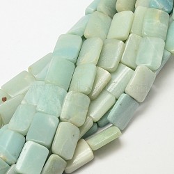 Natural Amazonite Rectangle Beads Strands, 18x13x6mm, Hole: 1mm, about 23pcs/strand, 15.7 inch(G-P091-55)