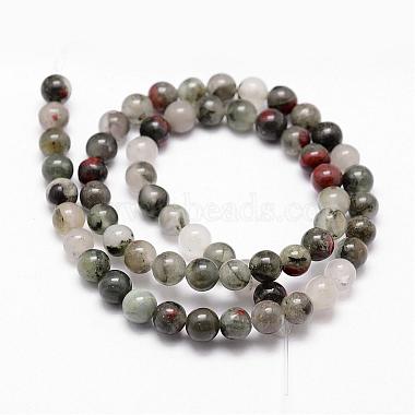 Natural African Bloodstone Beads Strands(G-D840-66-10mm)-2