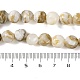 Natural Freshwater Shell Beads Strands(BSHE-S304-03)-4