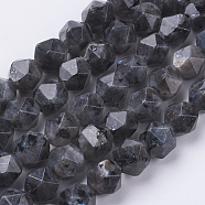 Natural Black Larvikite Beads Strands, Faceted, Round, 8x7mm, Hole: 1mm, about 49pcs/strand, 15.3 inch(39cm)(G-J376-47A-8mm)