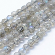Natural Labradorite Beads Strands, Grade AB+, Round, 4~4.5mm, Hole: 1mm, about 94pcs/strand, 15.5 inch(39.5cm)(G-P342-09-4mm-AB+)