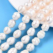 Natural Cultured Freshwater Pearl Beads Strands, Baroque Keshi Pearl Rice Beads, Seashell Color, 10~18x11~11.5mm, Hole: 0.7~0.8mm, about 14pcs/strand, 7.09 inch(18cm)(PEAR-N012-11B)