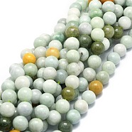 Natural Myanmar Jade Beads Strands, Round, 12mm, Hole: 1.2mm, about 34pcs/strand, 15.55''(39.5cm)(G-E576-08B)