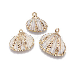 Electroplate Shell Pendants, with Brass Findings, Shell, Golden, 15~25x16~30x8~11mm, Hole: 2mm(SSHEL-O019-16A-G)