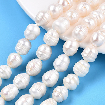 Natural Cultured Freshwater Pearl Beads Strands, Baroque Keshi Pearl Rice Beads, Seashell Color, 10~18x11~11.5mm, Hole: 0.7~0.8mm, about 14pcs/strand, 7.09 inch(18cm)