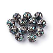 Natural Paua Shell Beads, Round, Black, 10mm, Hole: 1mm(SSHEL-Q298-10mm-09)