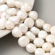 Natural Cultured Freshwater Pearl Beads Strands, Two Sides Polished, Grade 2A, Antique White, 11~12mm, Hole: 0.5mm, about 17pcs/strand, 7.09 inch(18cm)(PEAR-A006-13A)