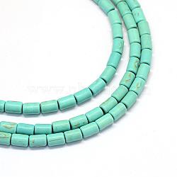 Synthetic Turquoise Bead Strands, Dyed, Column, Turquoise, 6.5x4~4.5mm, Hole: 1mm, about 63pcs/strand, 15.9 inch(TURQ-S282-25)