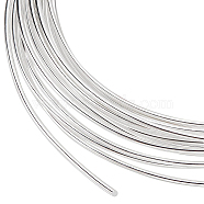 Brass Wire, Round, Silver, 1.2mm, about 9.84 Feet(3m)/Bundle(CWIR-WH0010-08A-S)