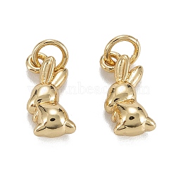 Brass Charms, with Jump Ring, Long-Lasting Plated, Lead Free & Nickel Free & Cadmium Free, Rabbit, Real 18K Gold Plated, 13x6x4.5mm, Jump Ring: 5x1mm, 3.5mm Inner Diameter(KK-C223-14G)