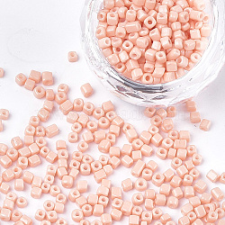 Baking Paint Glass Beads, Cube, Light Salmon, 3~6x2~2.5x2~2.5mm, Hole: 1mm, about 15000pcs/bag(SEED-S023-11A-08)