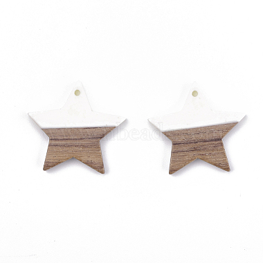 Pendentifs en résine & en bois(X-RESI-T023-23B)-2