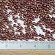MIYUKI Round Rocailles Beads(SEED-X0054-RR2461)-4