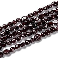 Natural Garnet Beads Strands, Nuggets, Tumbled Stone, 5~8.5x5.5~7x3.5~4mm, Hole: 0.7mm, about 64pcs/strand, 16.34''(41.5cm)(G-G018-22)
