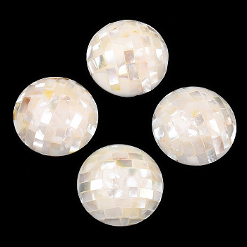 Natural White Shell Beads, No Hole/Undrilled, Flat Round, 35x20.5~21.5mm
