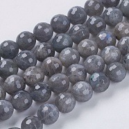 Natural Labradorite Beads Strands, Faceted, Round, Gray, 4mm, Hole: 1mm, about 90pcs/strand, 15.8 inch(G-G213-4mm-03)