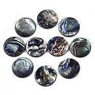 Natural Abalone Shell/Paua Shell Cabochons, with Freshwater Shell, Flat Round, Colorful, 20x3mm(SSHEL-N034-72C-01)