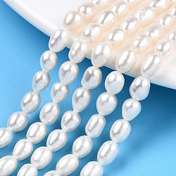Natural Cultured Freshwater Pearl Beads Strands, Rice, Seashell Color, 6~7x4.8~5.5mm, Hole: 0.7~0.8mm, about 27pcs/strand, 7.09 inch(18cm)(PEAR-N012-05U)