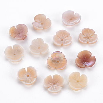 Natural Pink Shell Beads, Flower, 10x10x3mm, Hole: 1mm