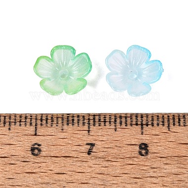 Transparent Plastic Bead Caps(KY-Q005-02A-03)-4