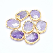 Natural Amethyst Beads, Edge Golden Plated, Faceted, Oval, 23~28x17~20x5~7mm, Hole: 0.8~1mm(G-P380-03G)
