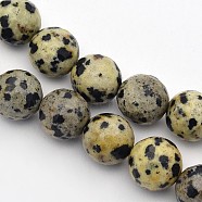 Natural Dalmation Jasper Beads Strands, Faceted, Round, 8mm, Hole: 1mm, about 45pcs/strand, 14.5 inch(X-G-G542-8mm-07)