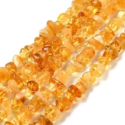 Natural Amber Chip Beads Strands, 5~8x5~8mm, Hole: 0.8mm, 14.96''(38cm)(G-E271-81A)