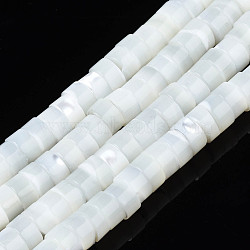 Natural Trochid Shell/Trochus Beads Strands, Column, White, 7x3.5~4mm, Hole: 0.7mm, about 100~101pcs/strand, 15.16 inch~15.35 inch(38.5~39cm)(SSHEL-N027-128)