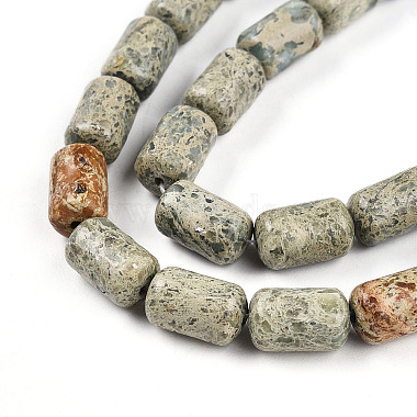 Natural Variscite Beads Strands(G-N346-01B-14)-4